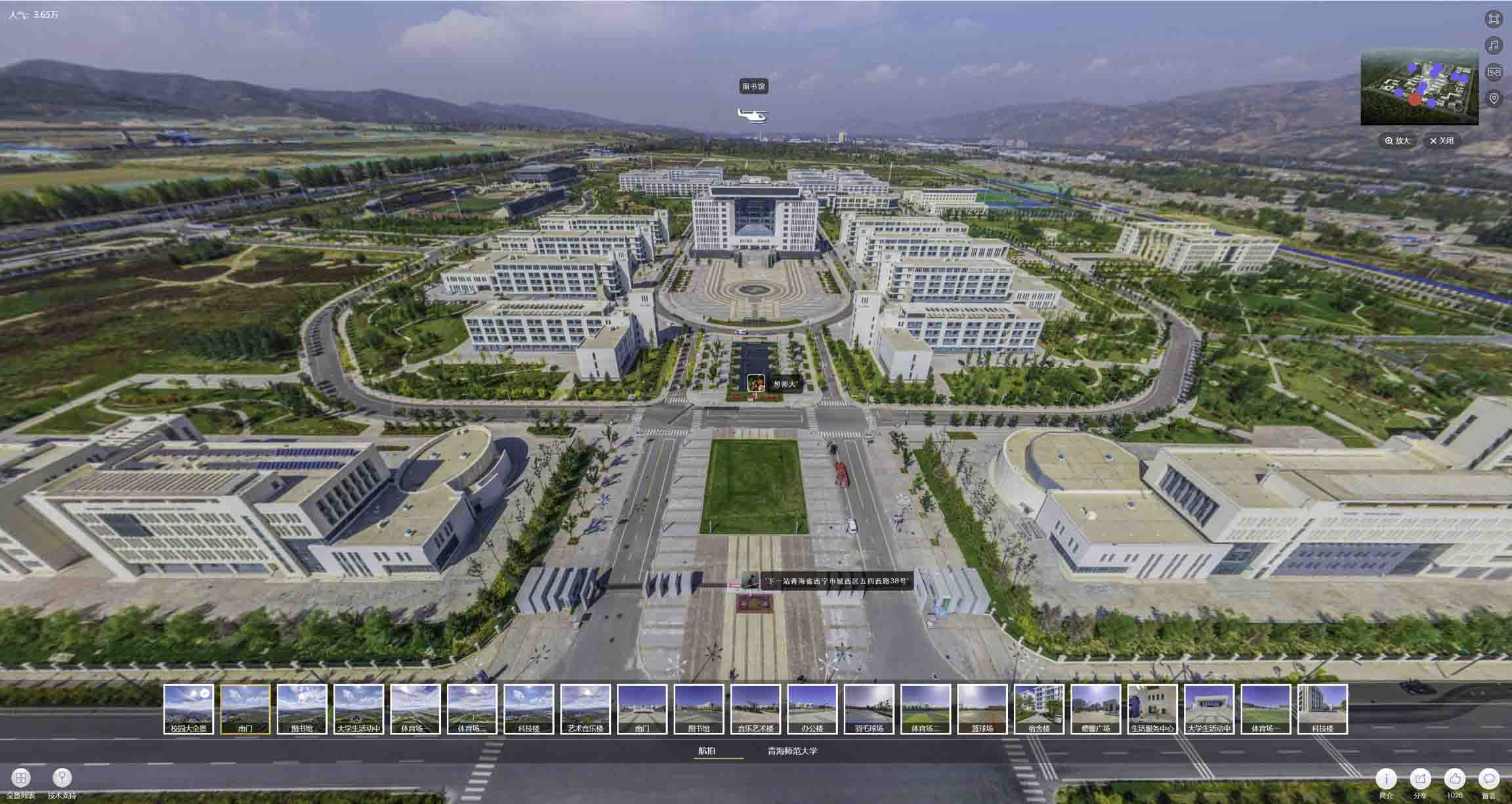 龙凤油菜花-惊艳半生的花海仙境